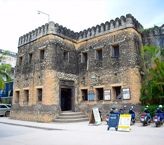 Jozani Forest + Spice Farms & Stone Town gallery 4